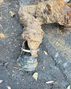 Rusty, corroded pipe with a damaged section near the ground