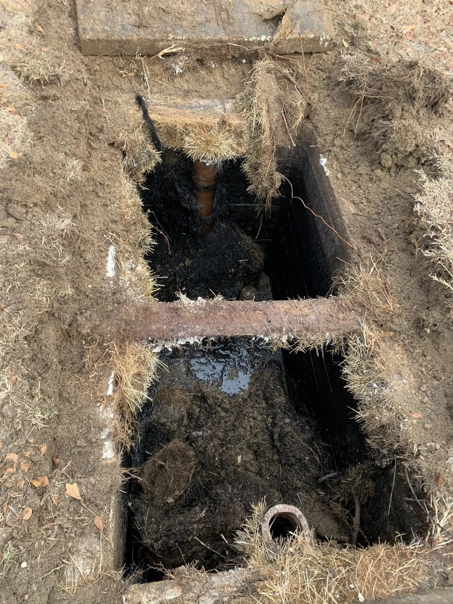Root infested septic tank that we had to repalce