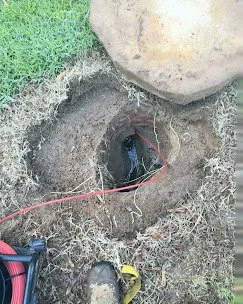 A black cat sitting inside a small, shallow hole in the ground surrounded by grass and dirt, near a large rock.