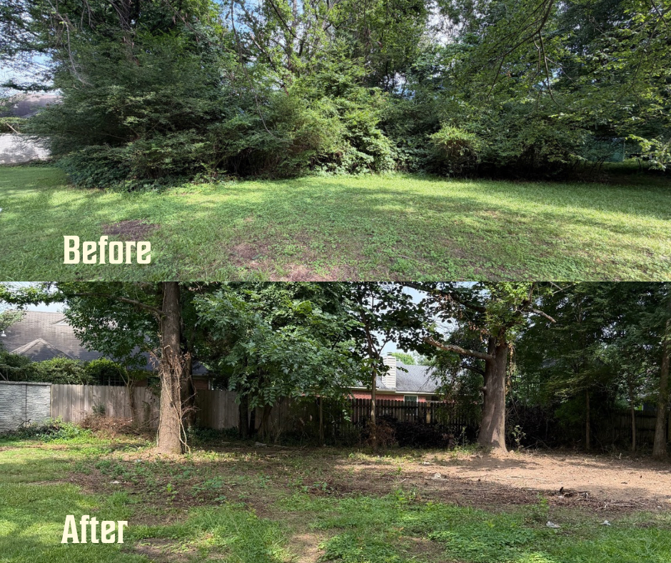 Before and after photo of backyard brush clearing and land improvement in Bartlett, TN.