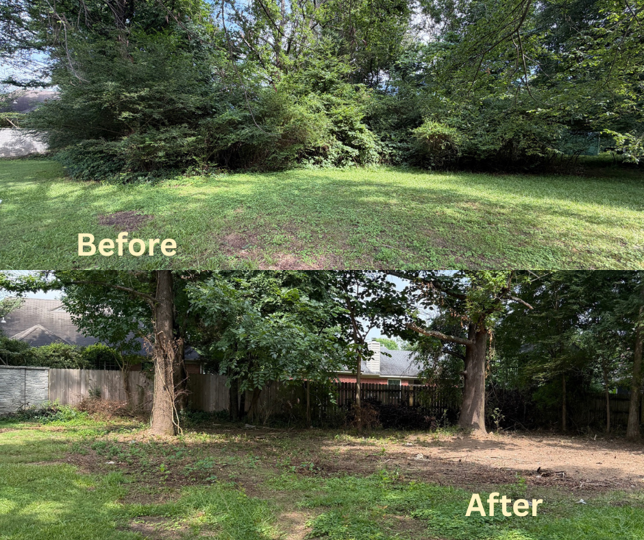 Before and after photo of backyard brush clearing and land improvement in Bartlett, TN.
