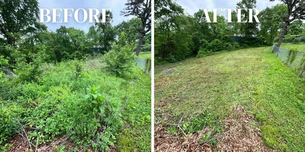 Thick undergrowth removal and professional brush control services transforming an overgrown lot in Shelby County, TN.