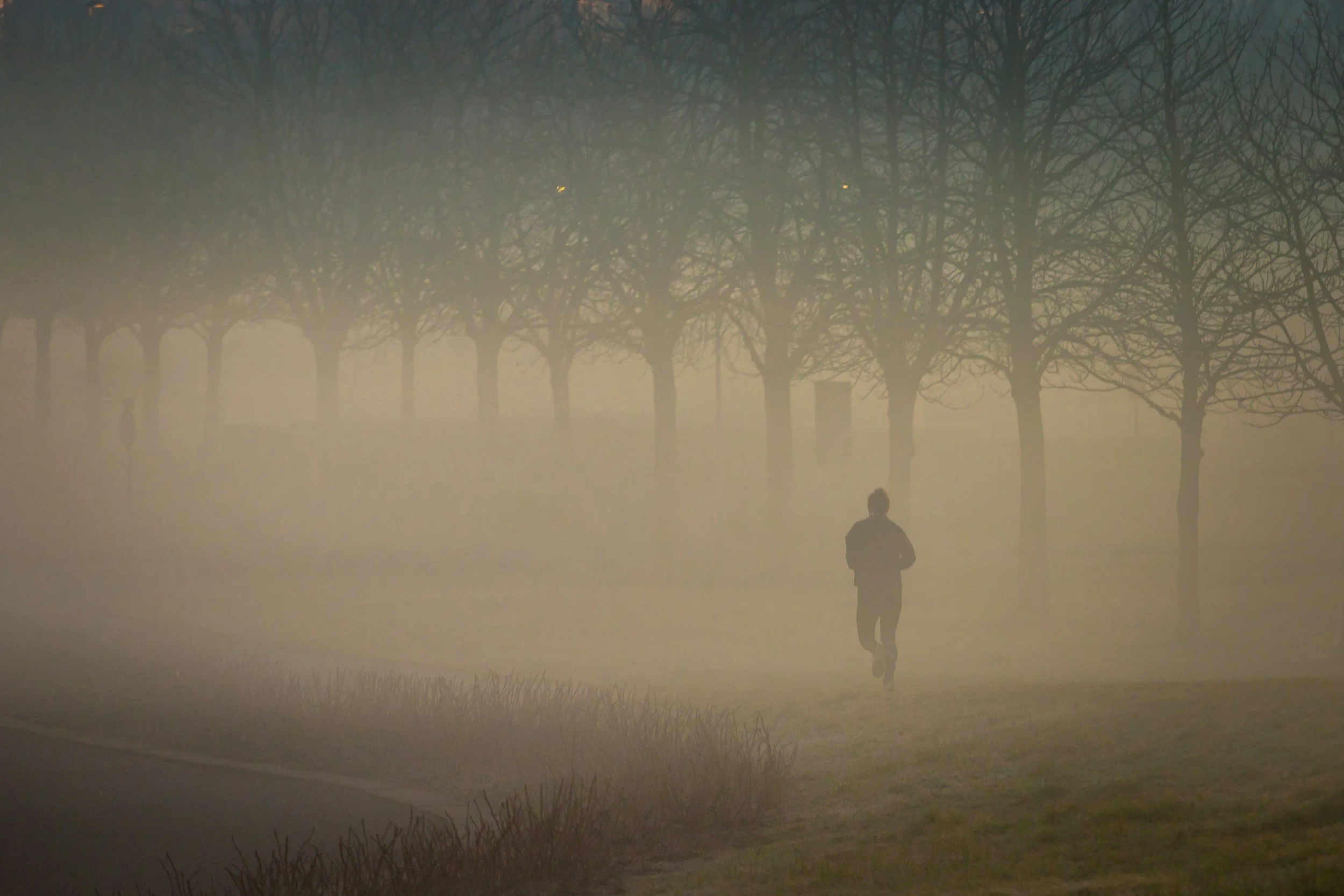 A person standing outdoors in a foggy landscape with leafless trees in the background during daytime.