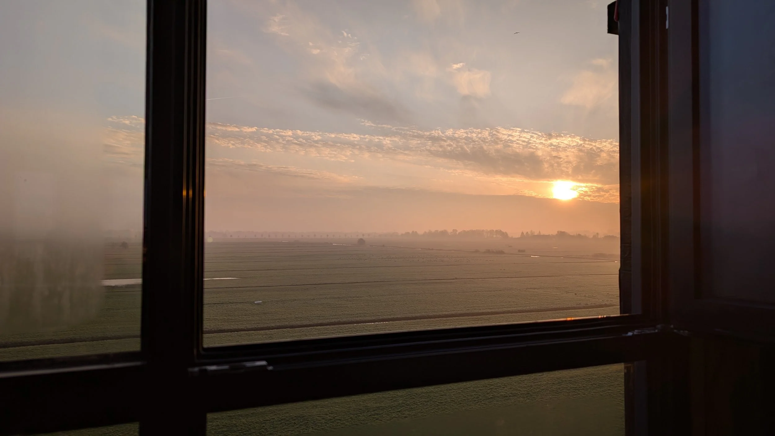 Uitzicht over weiland