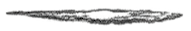 M.D.J