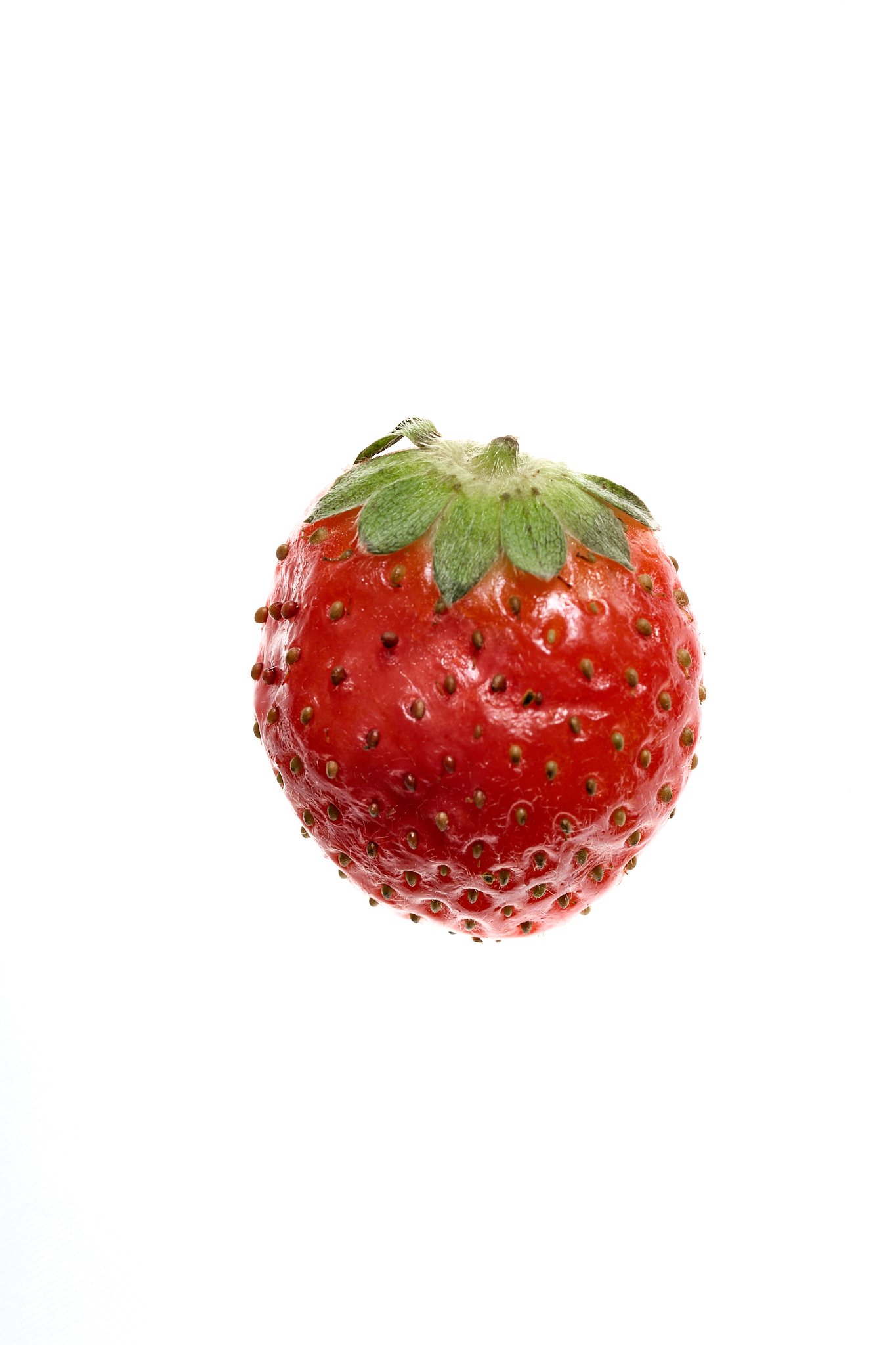 fresa gordita.jpg