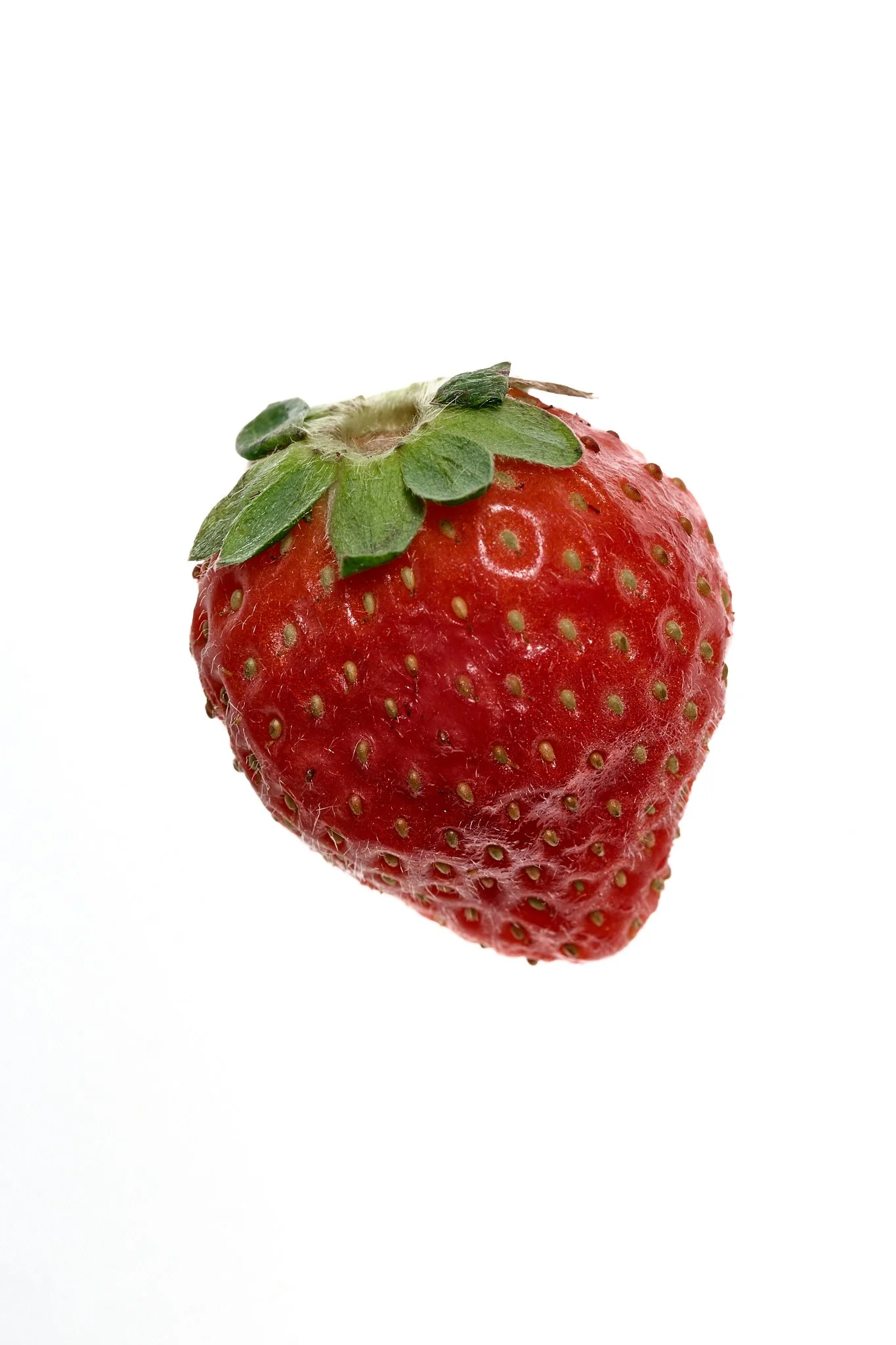 fresa mediana.jpg