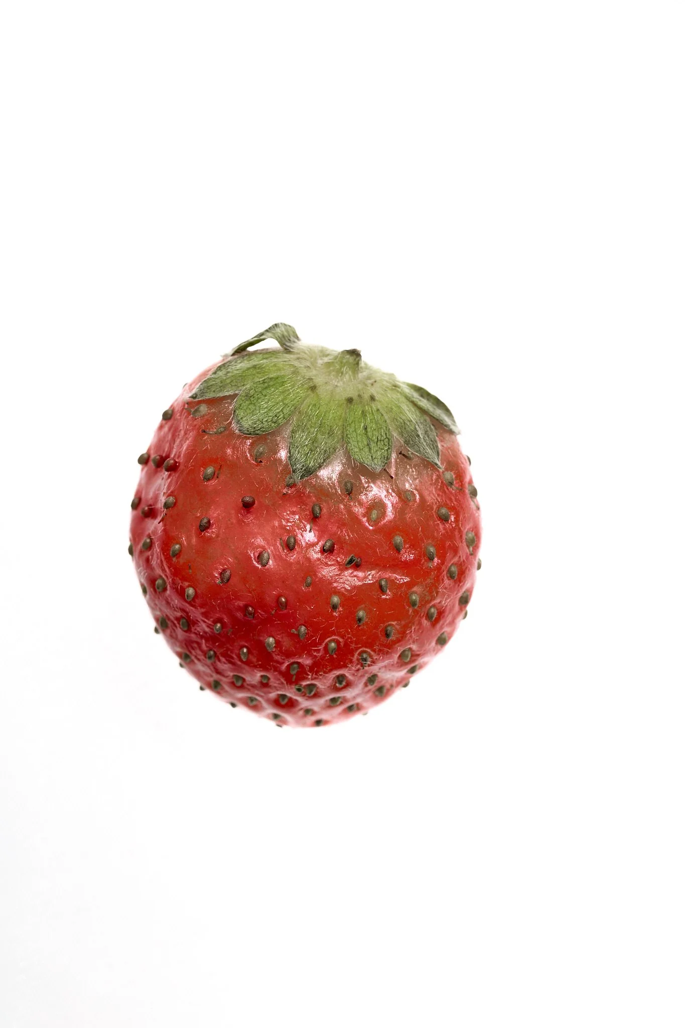 primer fresa 1.jpg