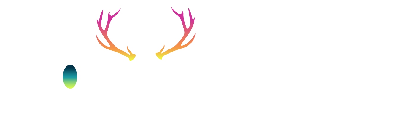 Norse Rune Kit - Ancient Archetypes for Modern Mystics