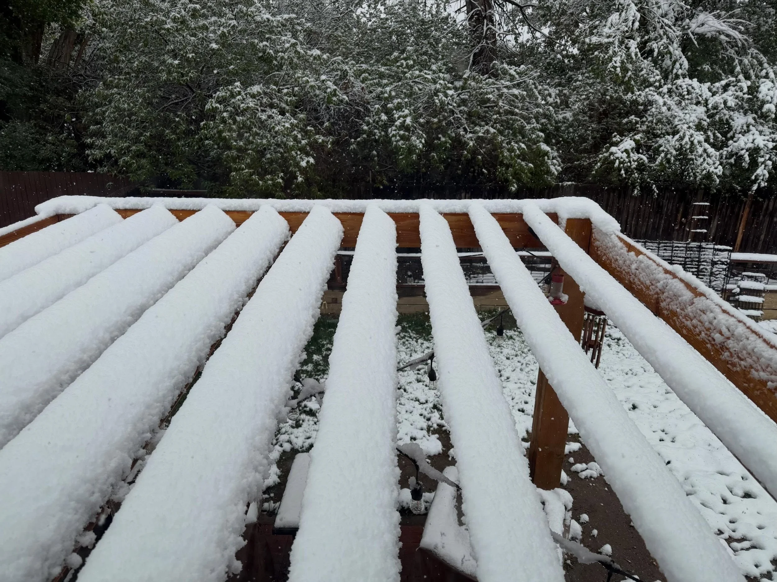 You know what sounds good after waking up to a bunch of snow the day after Cinco de Mayo? (Or if you indulged a wee bit too much yesterday!) Taking a nice hot sauna! It has the simple benefit of warmth, but also is great for cardiovascular health, pa