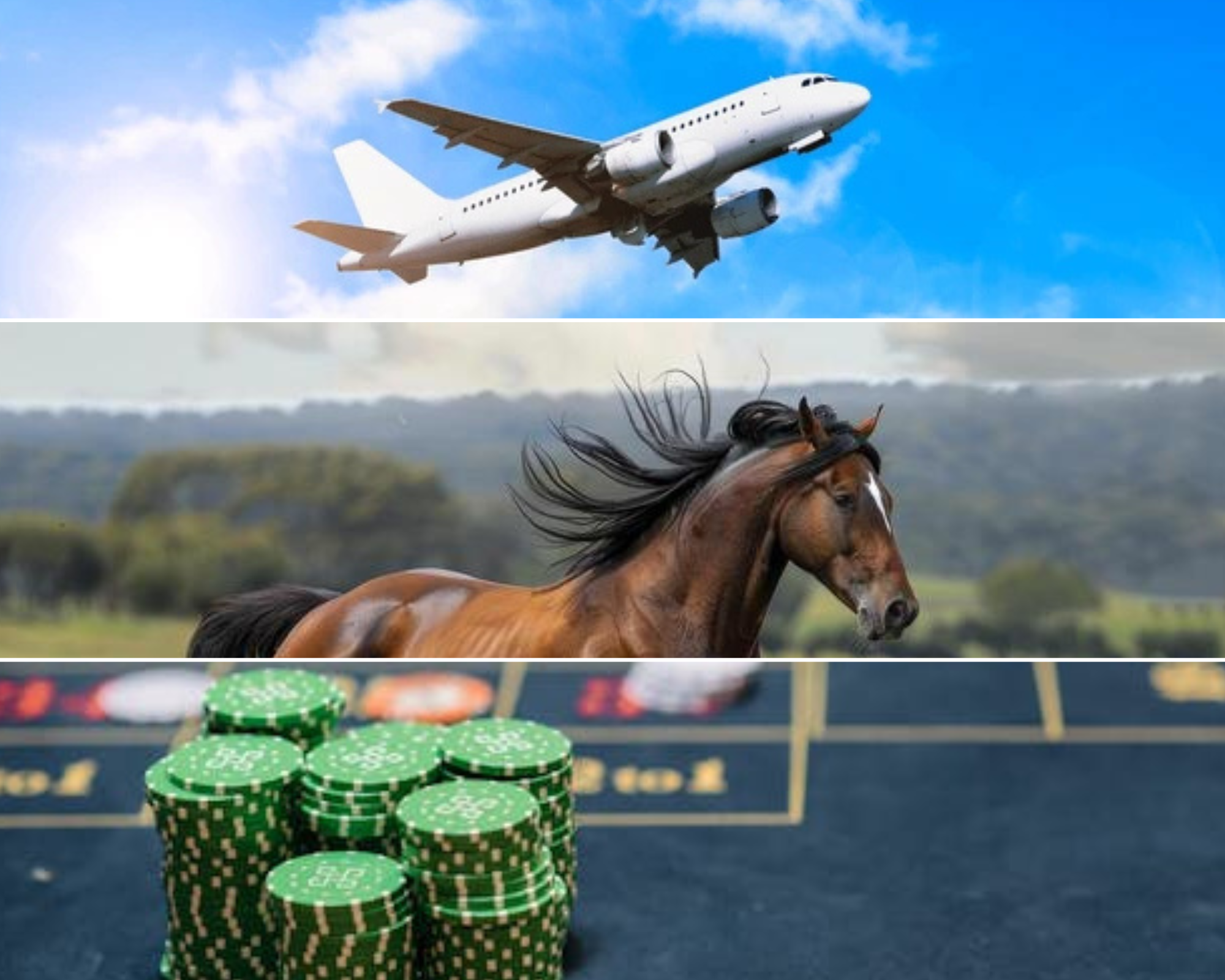 Lawyers Explain Niche Areas of Law: Aviation, Equine, and Gaming