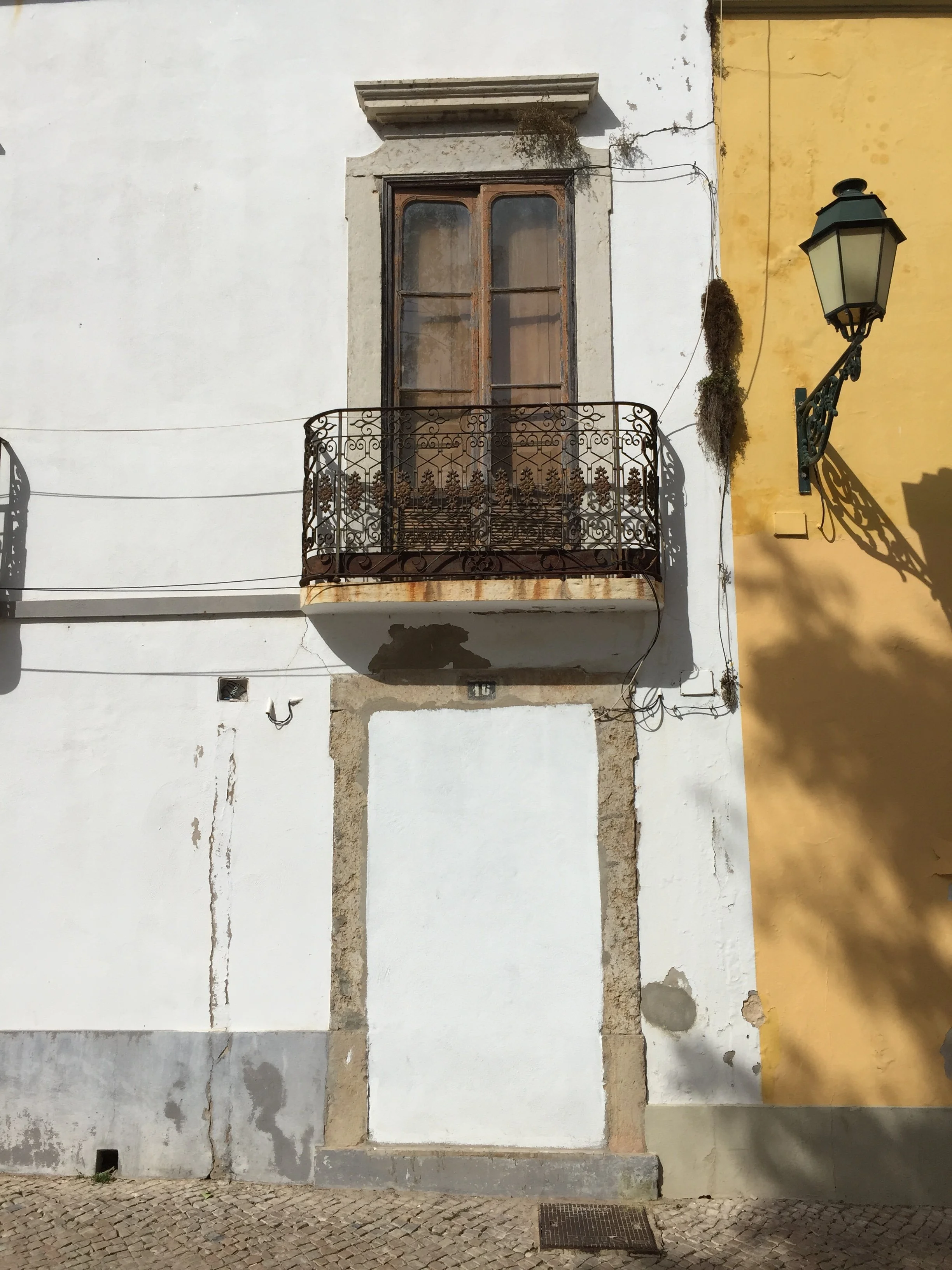 IMG_4043.jpeg
