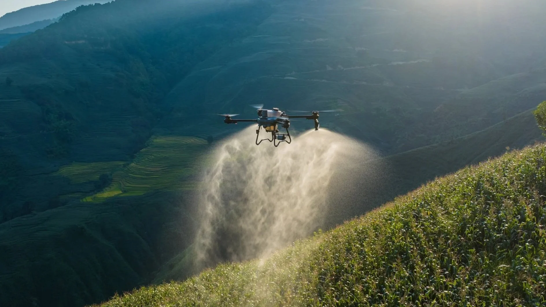 DroneFarm, società che realizza trattamenti di fertilizzazione con drone in Toscana e Italia