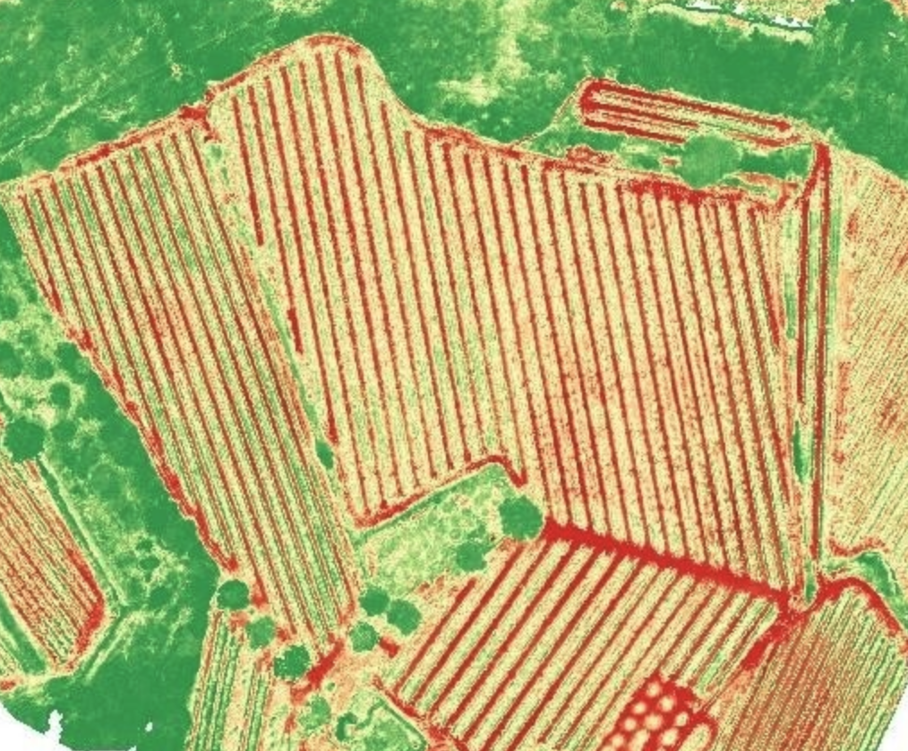 Mappatura NDVI del terreno agricolo, trattamenti con drone per  agricoltura di precisione in Toscana e Italia, Drone Farm, Greve in Chianti