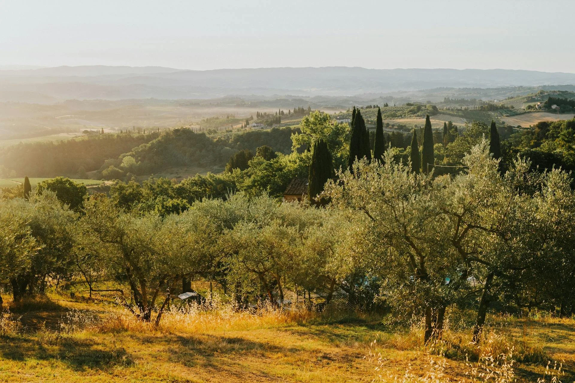 DroneFarm, società che realizza trattamenti con drone per vigneti in Toscana e centro Italia