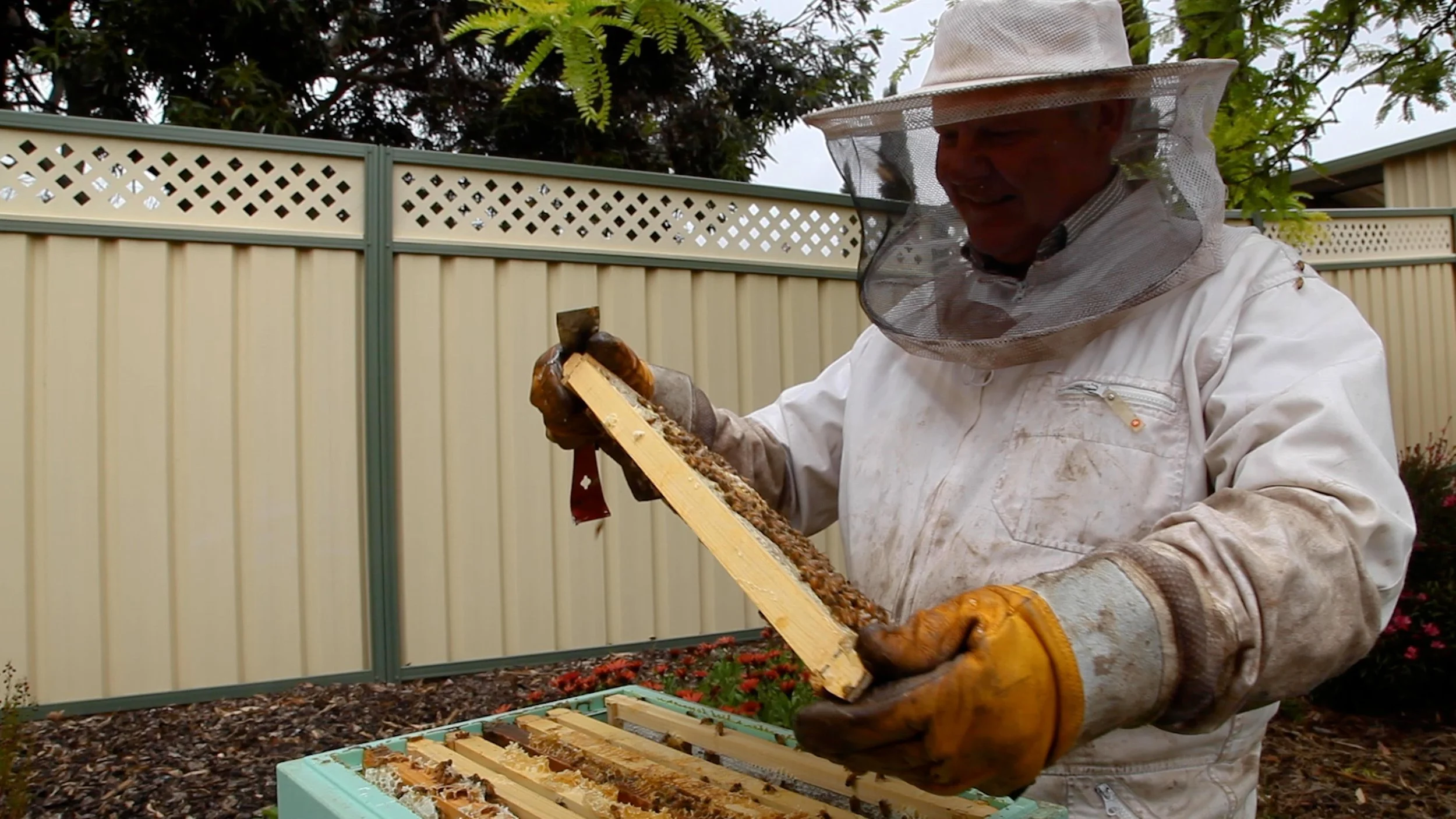 Episode 1 What to know before getting into backyard beekeeping.00_01_27_05.Still050.jpg