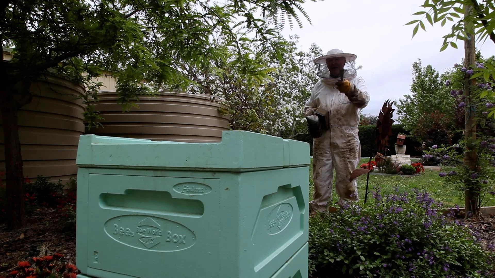 Episode 100 Backyard Beekeeping.00_06_54_03.Still005.jpg