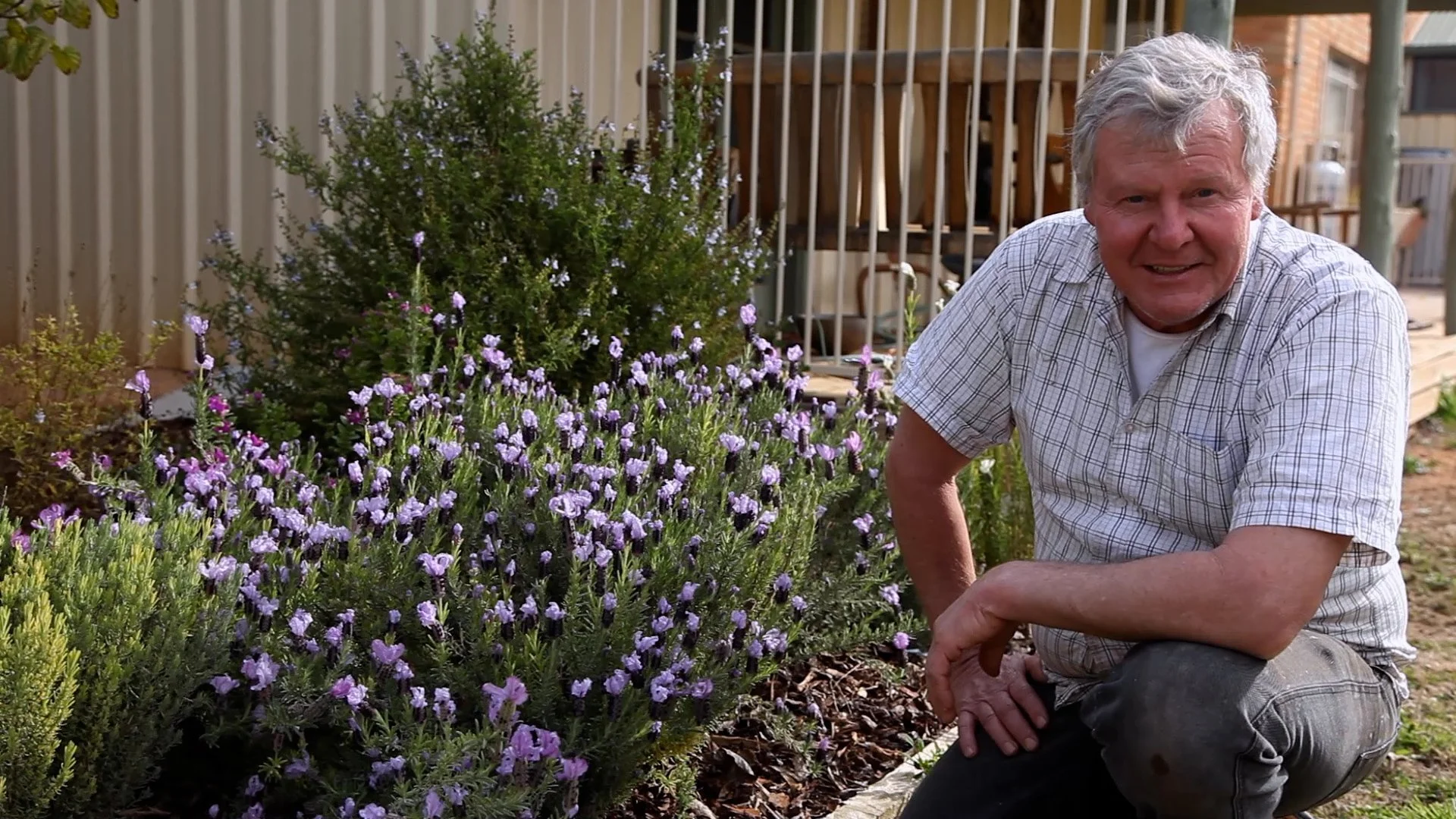 Episode 100 Backyard Beekeeping.00_03_07_22.Still006.jpg