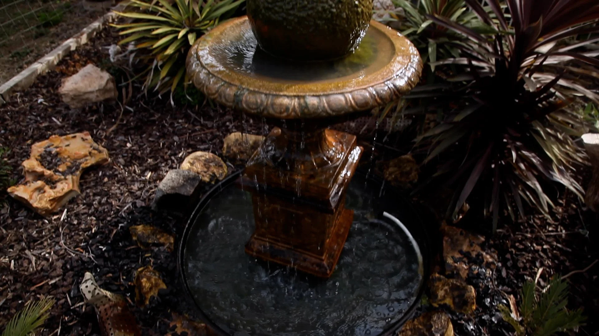 Episode 100 Backyard Beekeeping.00_01_36_23.Still008.jpg