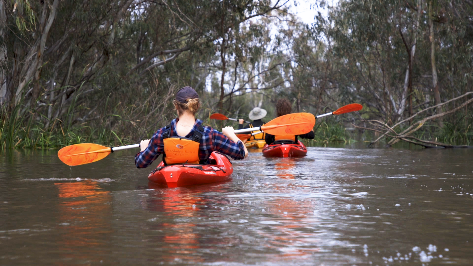Three people kayaking in a calm river surrounded by trees.