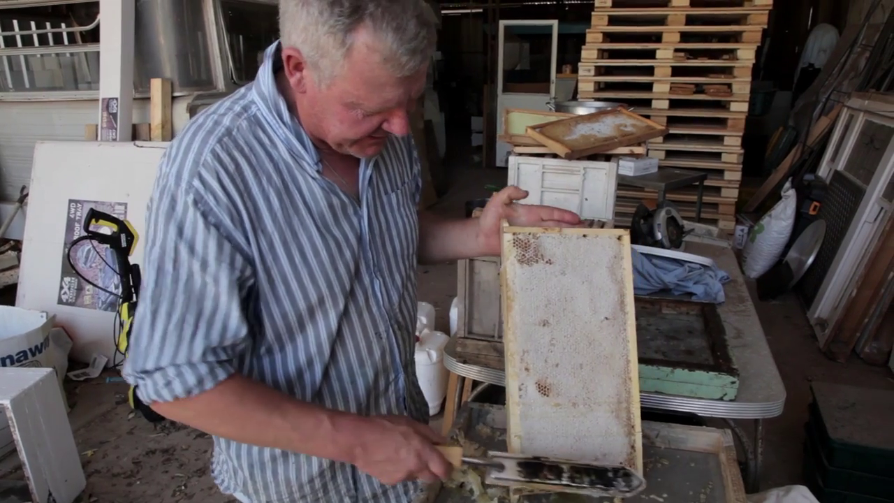 How to Extract Honey From Honeycomb