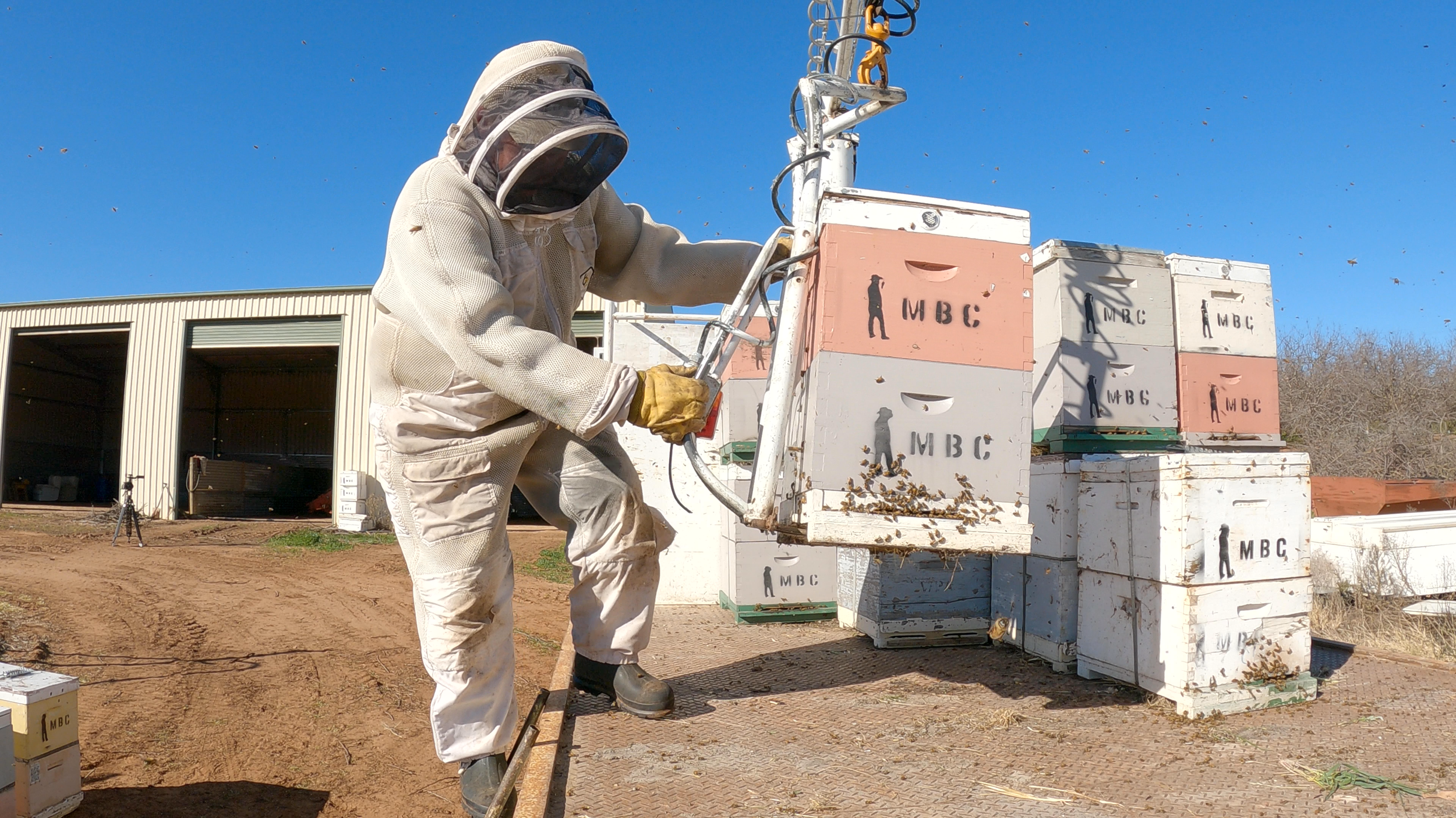 Navigating Almond Pollination and Preparing for the Varroa Mite Challenge