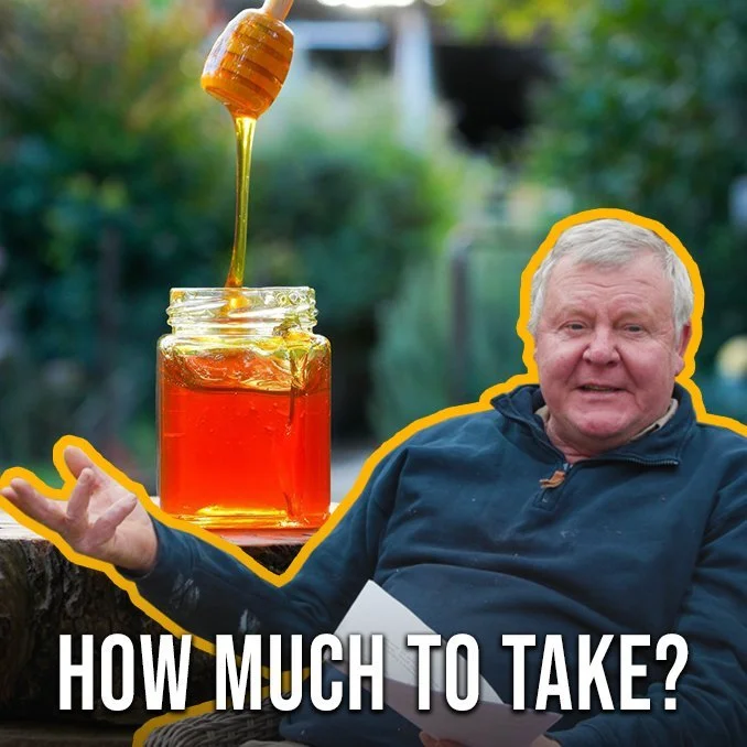 Beekeeping Q&amp;A: How Much Honey Should You Leave for Your Bees?