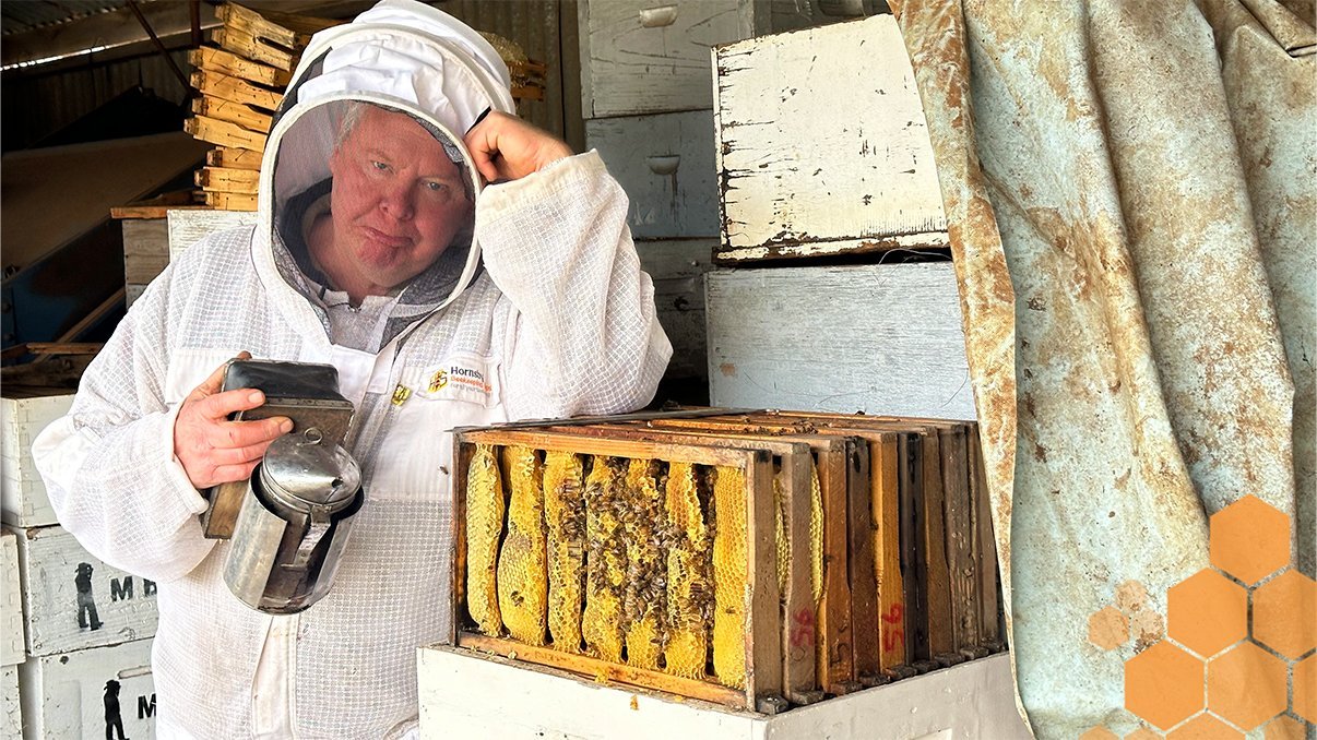 Cross Comb Chaos: The Upside Down Beekeeping Experiment!