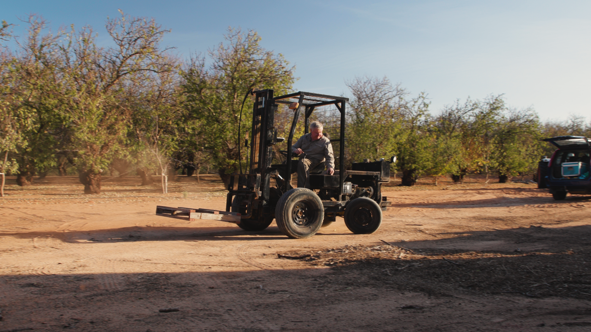 The Bee Adventures with a Dune Buggy Forklift and Pallets