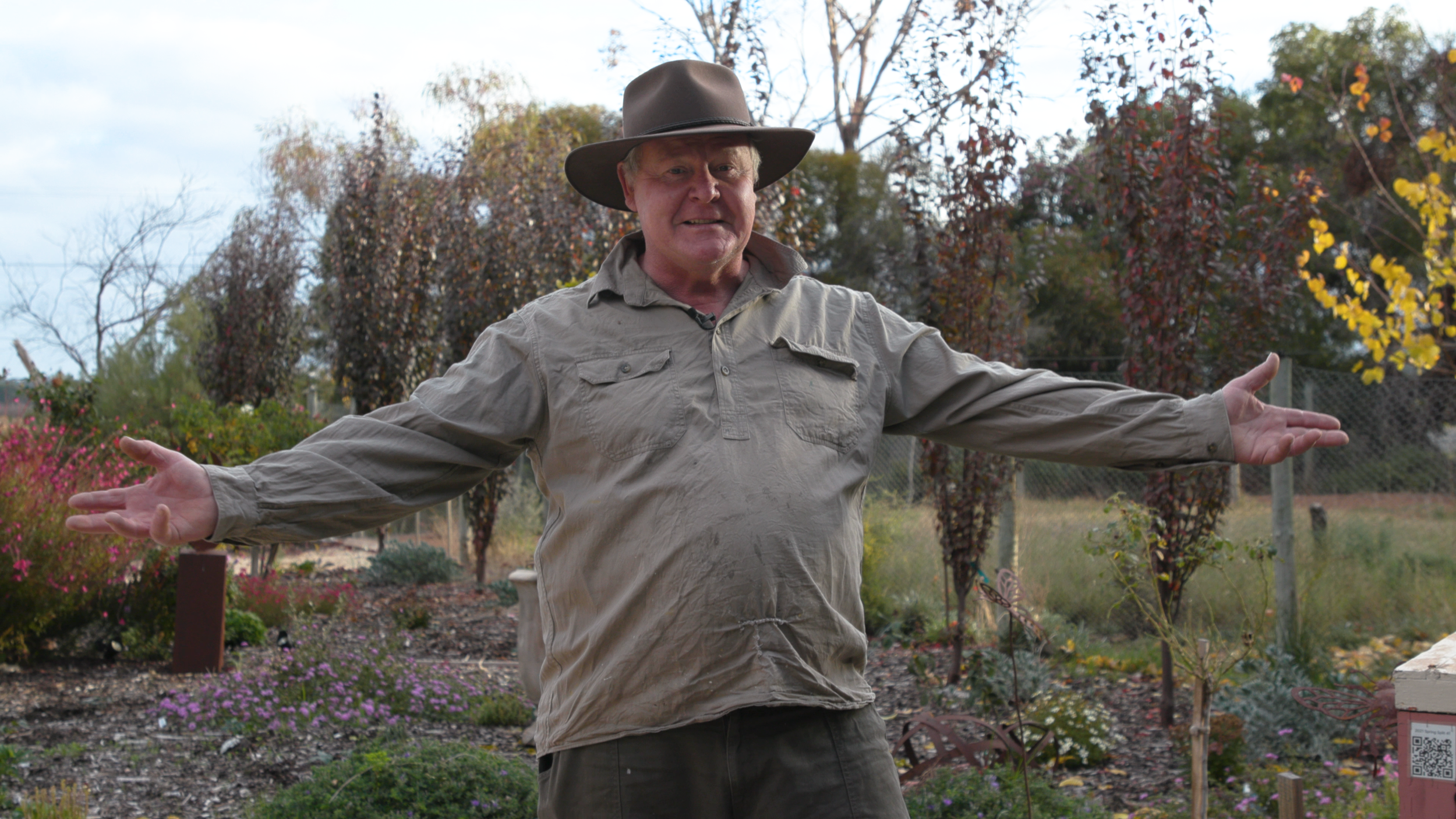 Discover the Buzz with "The Brood Box" Membership!