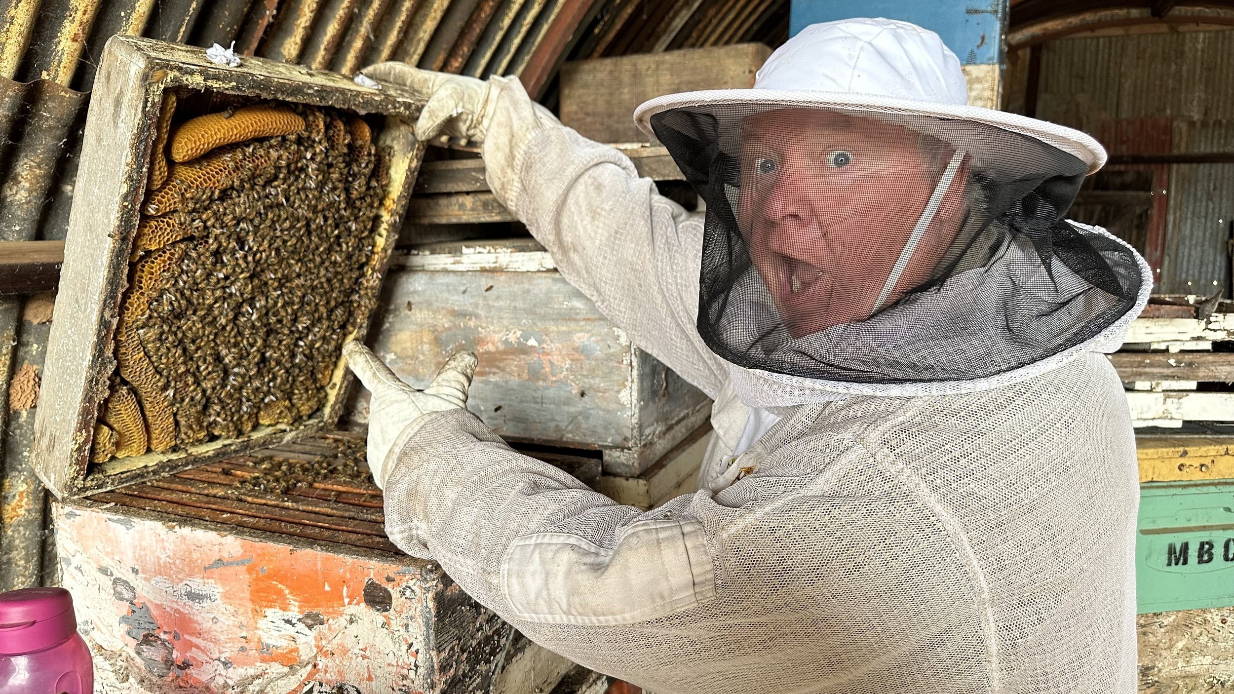 The Uninvited Guests: A Surprise Swarm Saga