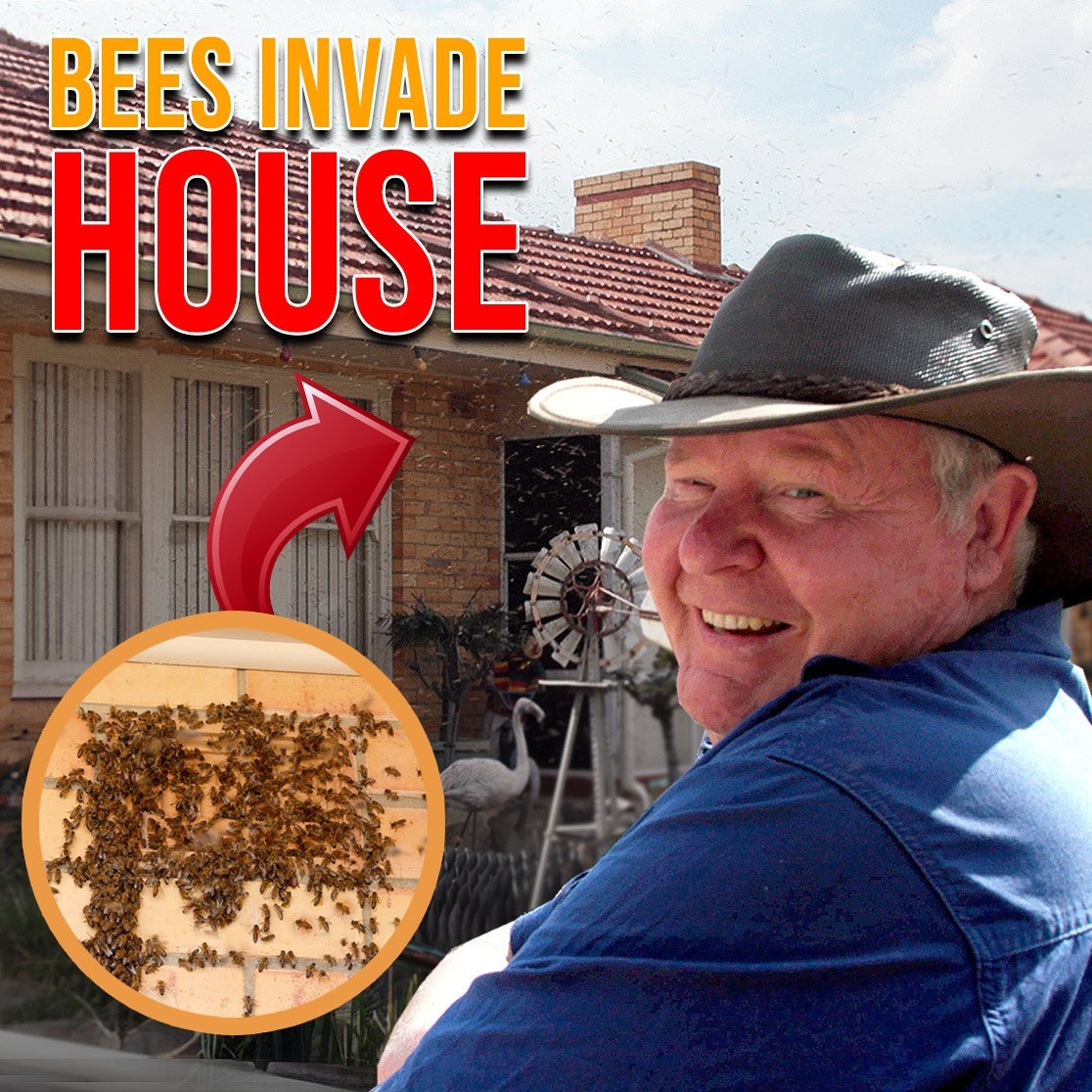 The Unpredictable Adventure of Swarm Catching: A Tale of the One That Got Away