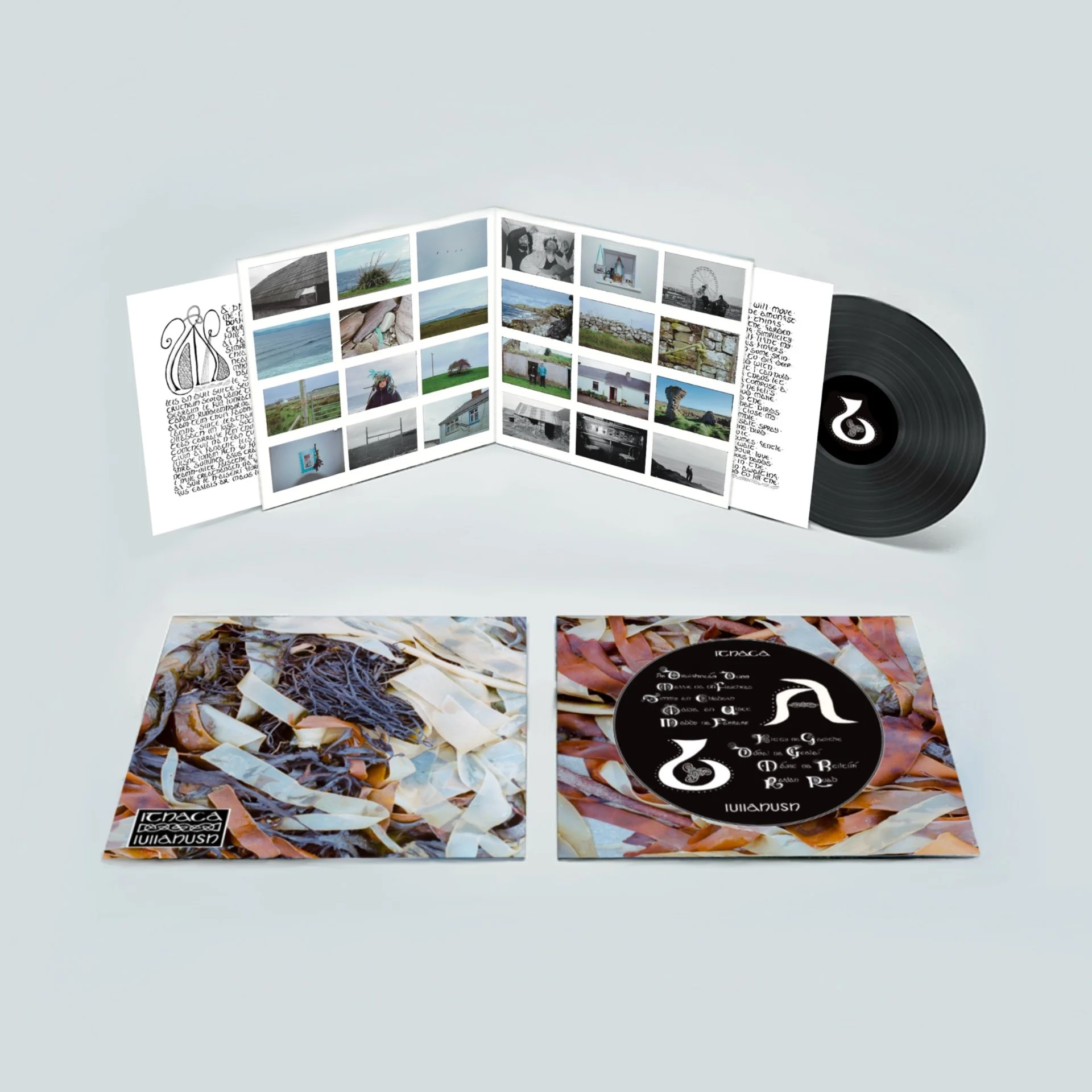 Untitled_Artwork 7.jpg