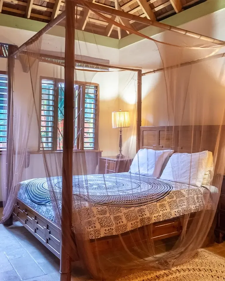 Hummingbird Bungalow C