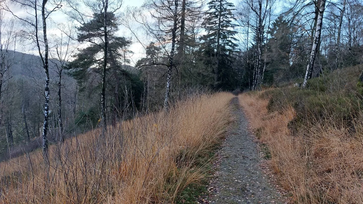 Eine Methode f&uuml;r mehr M&uuml;helosigkeit &amp; Kreativit&auml;t f&uuml;rs Training oder den Alltag
.
Der Mensch ist laut aktueller Hirnforschung (George Miller) in der Lage bis zu 7,2 "Dinge" gleichzeitig im Kopf zu behalten. Wenn wir 