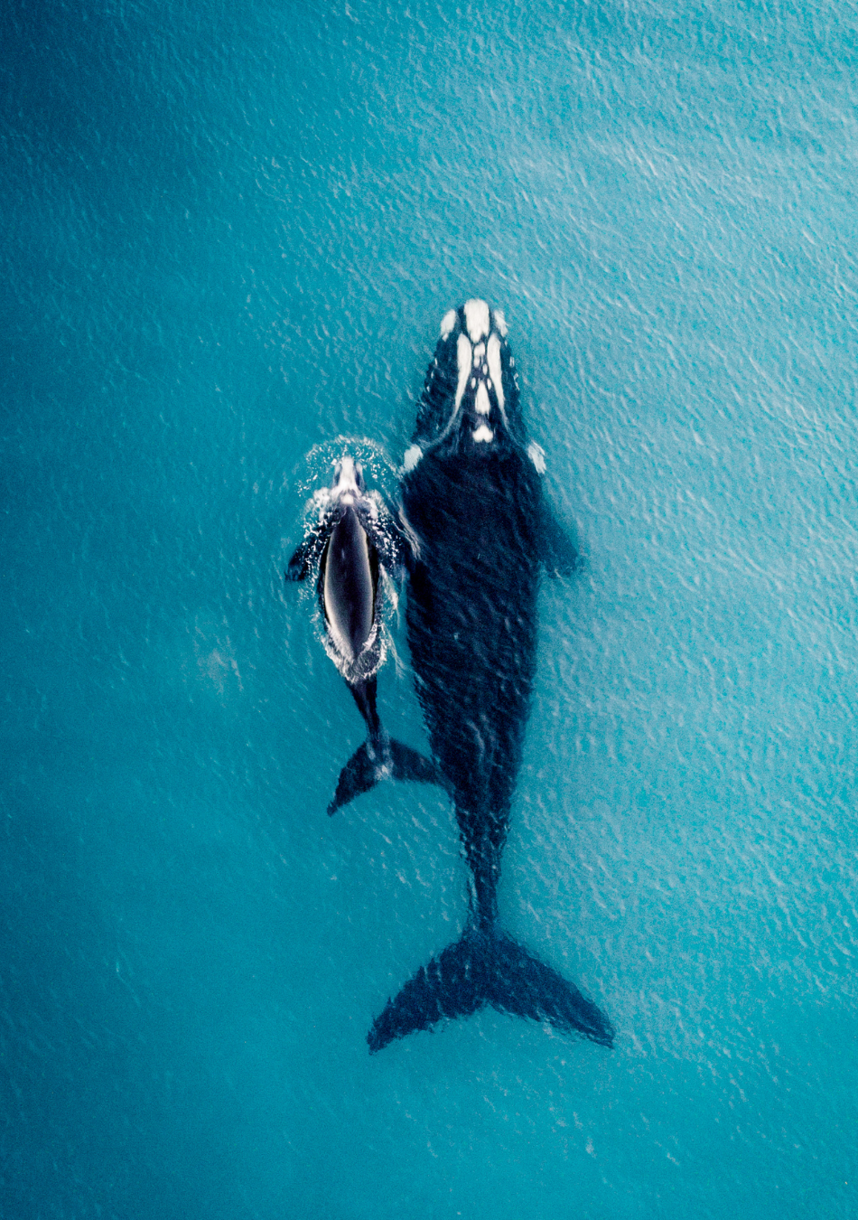 6 month 1:1 Coaching