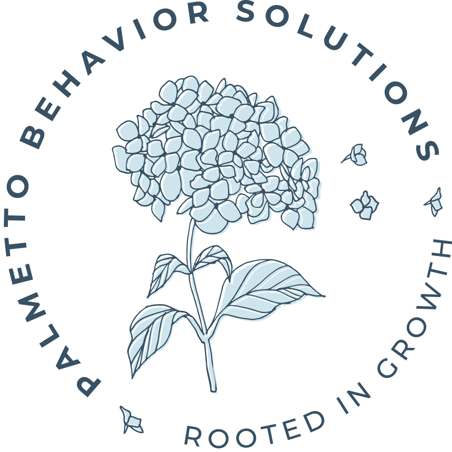 Palmetto Behavior Solutions