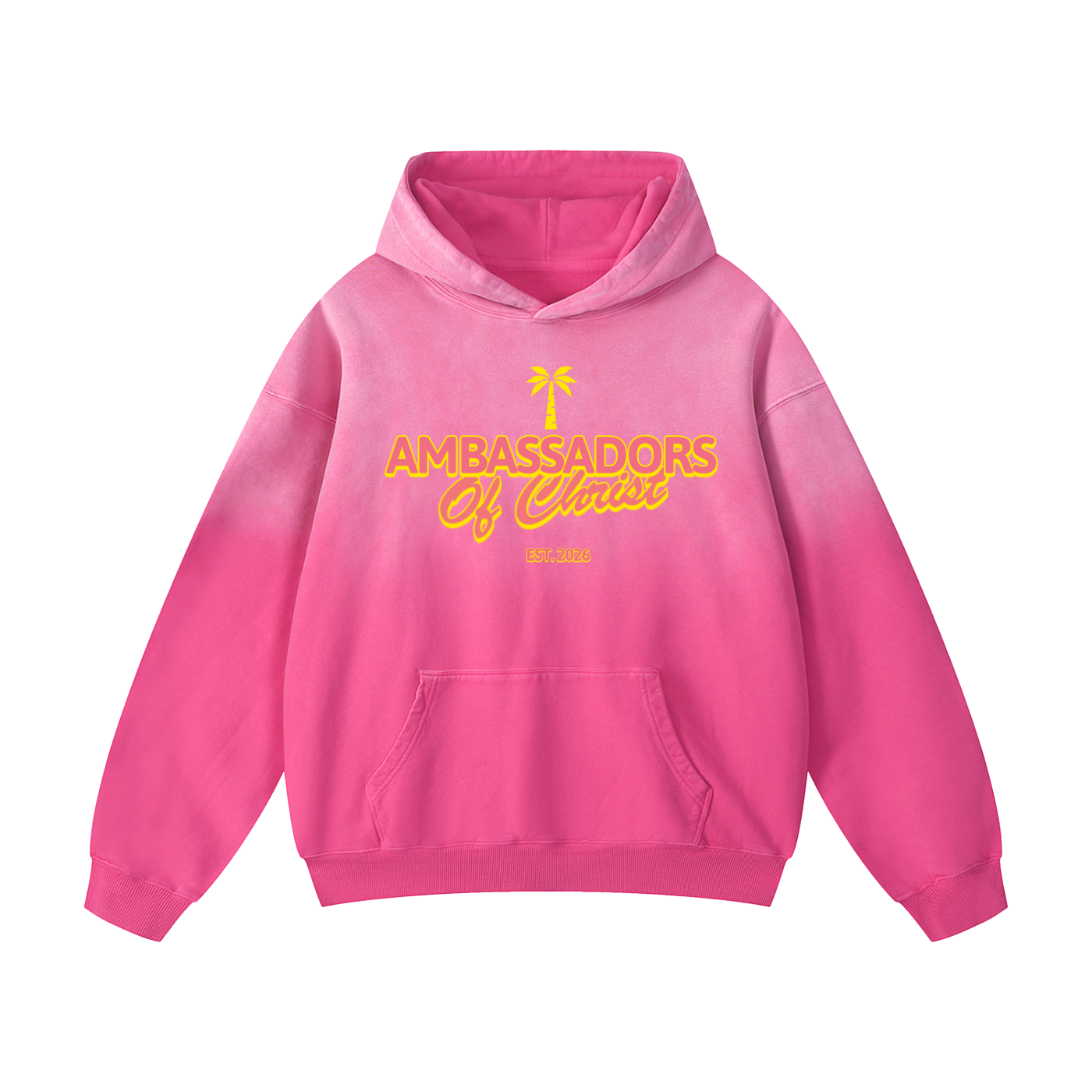 AOC x YW Hoodie