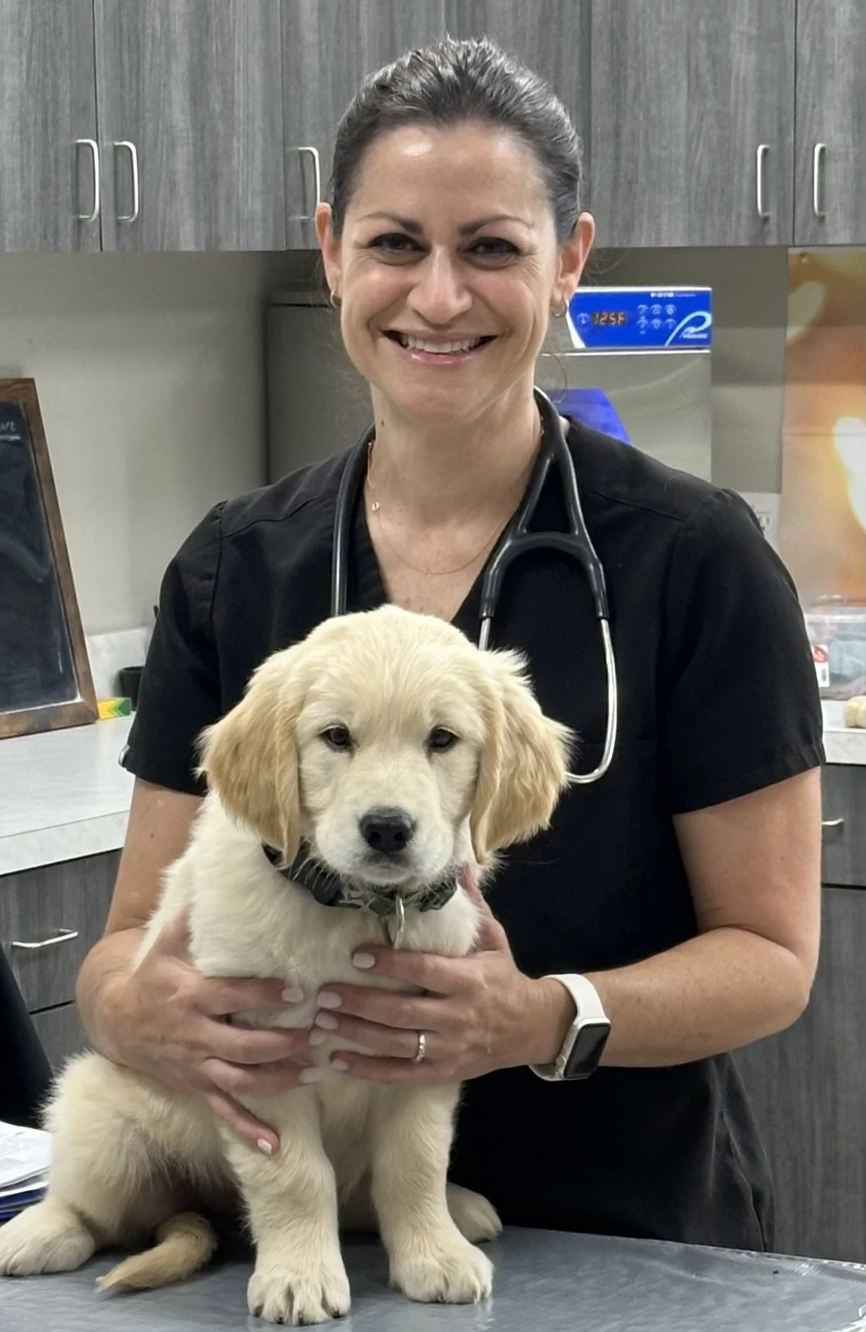 A woman in a black shirt with a stethoscope around her neck holding a yellow labrador puppy in a veterinary clinic.
