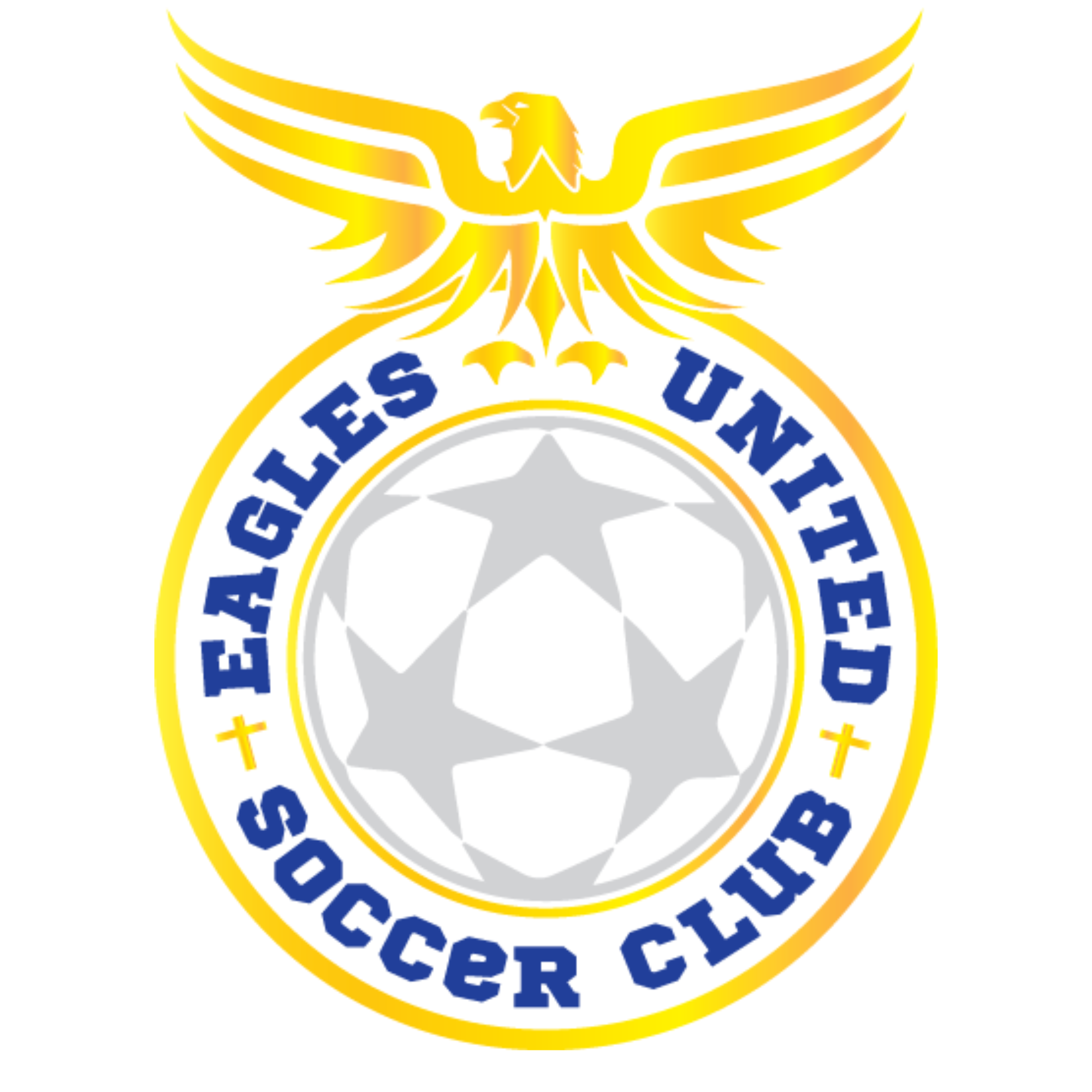 Logo of Leeds United Soccer Club featuring a golden eagle with outstretched wings above a circular emblem with blue text reading 'LEEDS UNITED SOCCER CLUB' and a central soccer ball design with gray pentagons and white background.