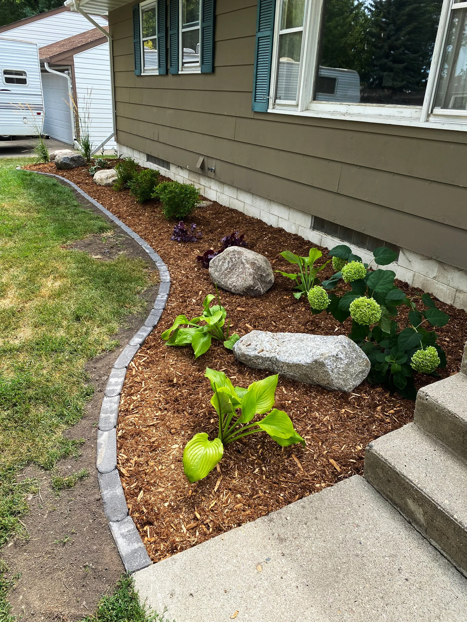A landscaped yard with a garden bed filled with mulch, green shrubs, hostas, and hydrangeas, bordered by gray bricks next to a concrete sidewalk in front of a house with beige siding and blue shutters.