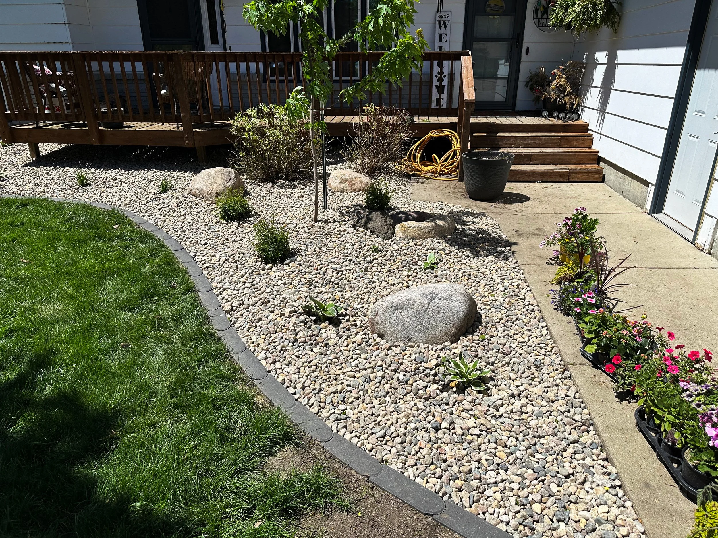 A backyard with a rock garden bordered by a mulch bed with small plants and a row of colorful flowers in containers along a concrete sidewalk. There is a wooden deck with stairs, a black pot, garden hose, and some plants near the house.