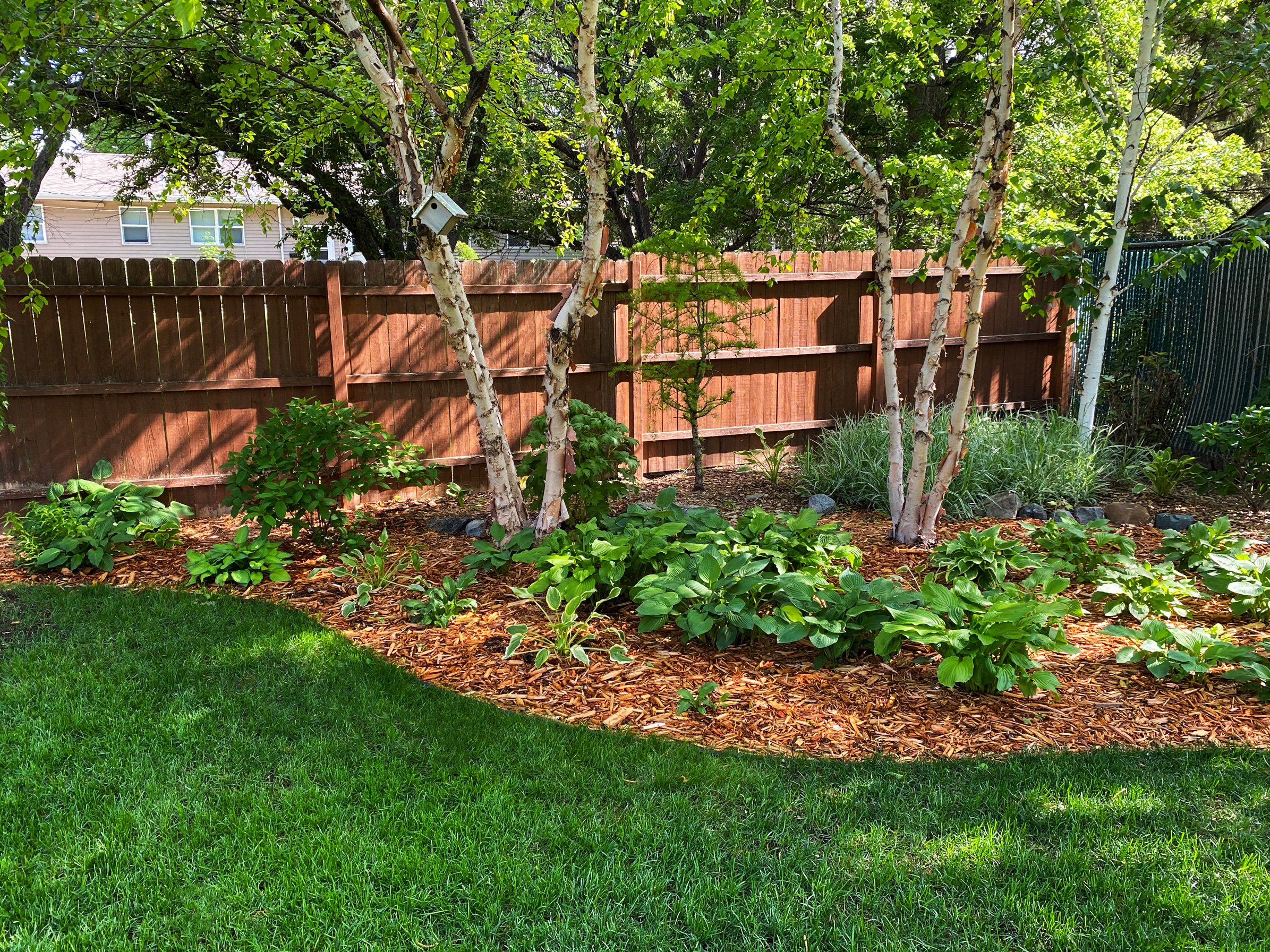 A landscaped backyard garden with a wooden fence, multiple trees, green shrubs, flowering plants, and a mulched planting bed with a green lawn in the foreground.
