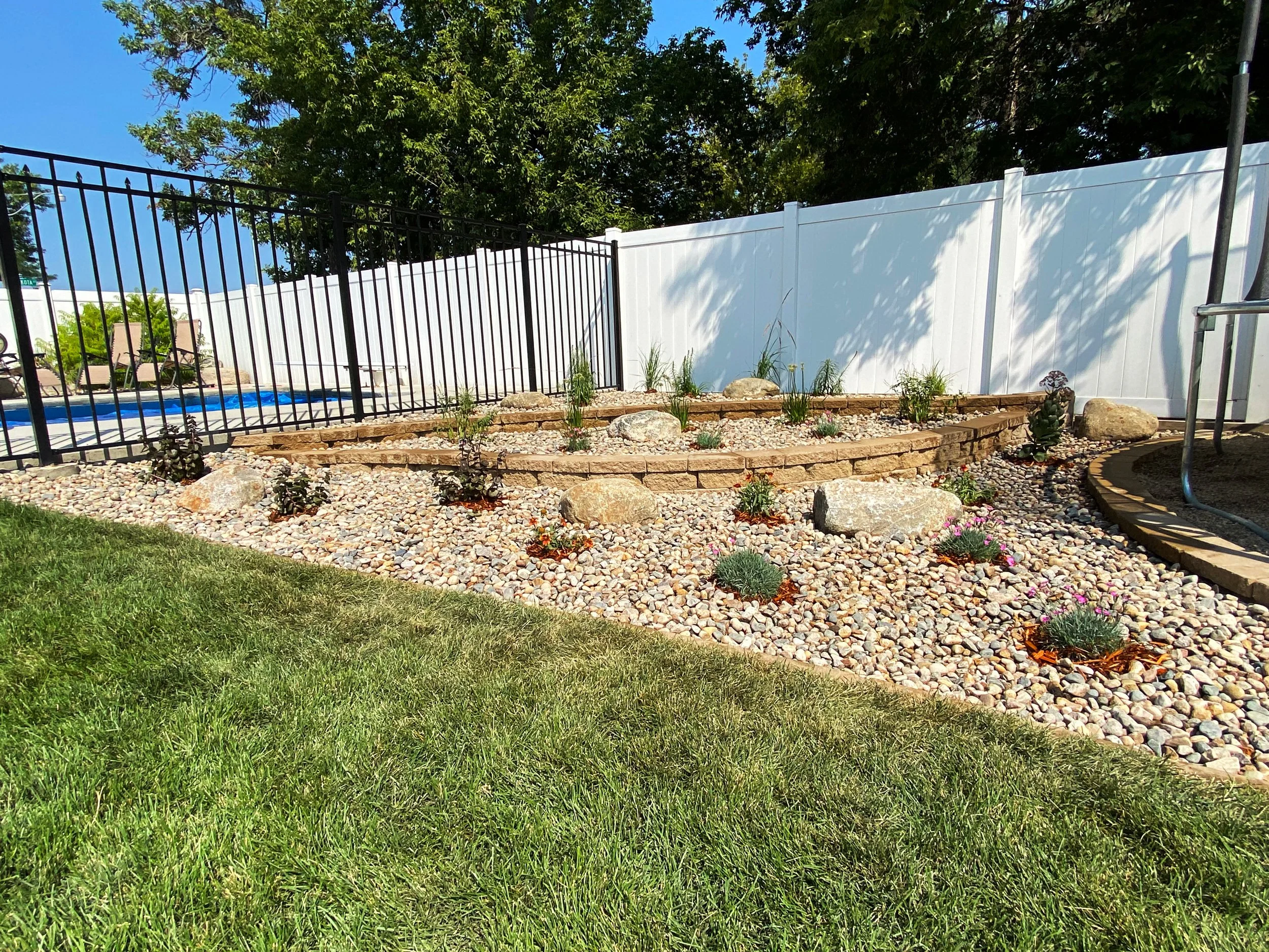 A landscaped backyard with a grassy lawn, a rock garden with small plants and flowers, a white privacy fence, and a black metal fence surrounding a swimming pool in the background. There are also some patio chairs near the pool.