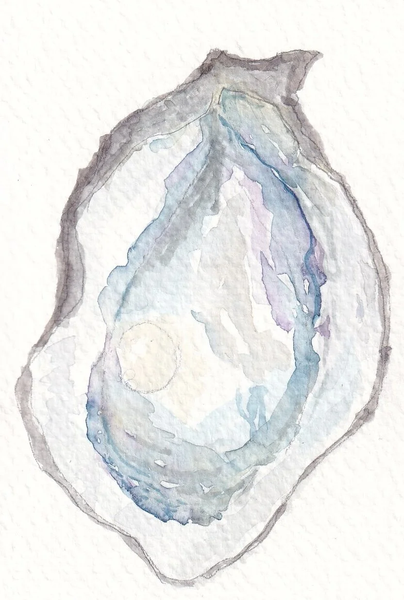 Watercolor painting of an avocado cut in half showing the seed and the green flesh.