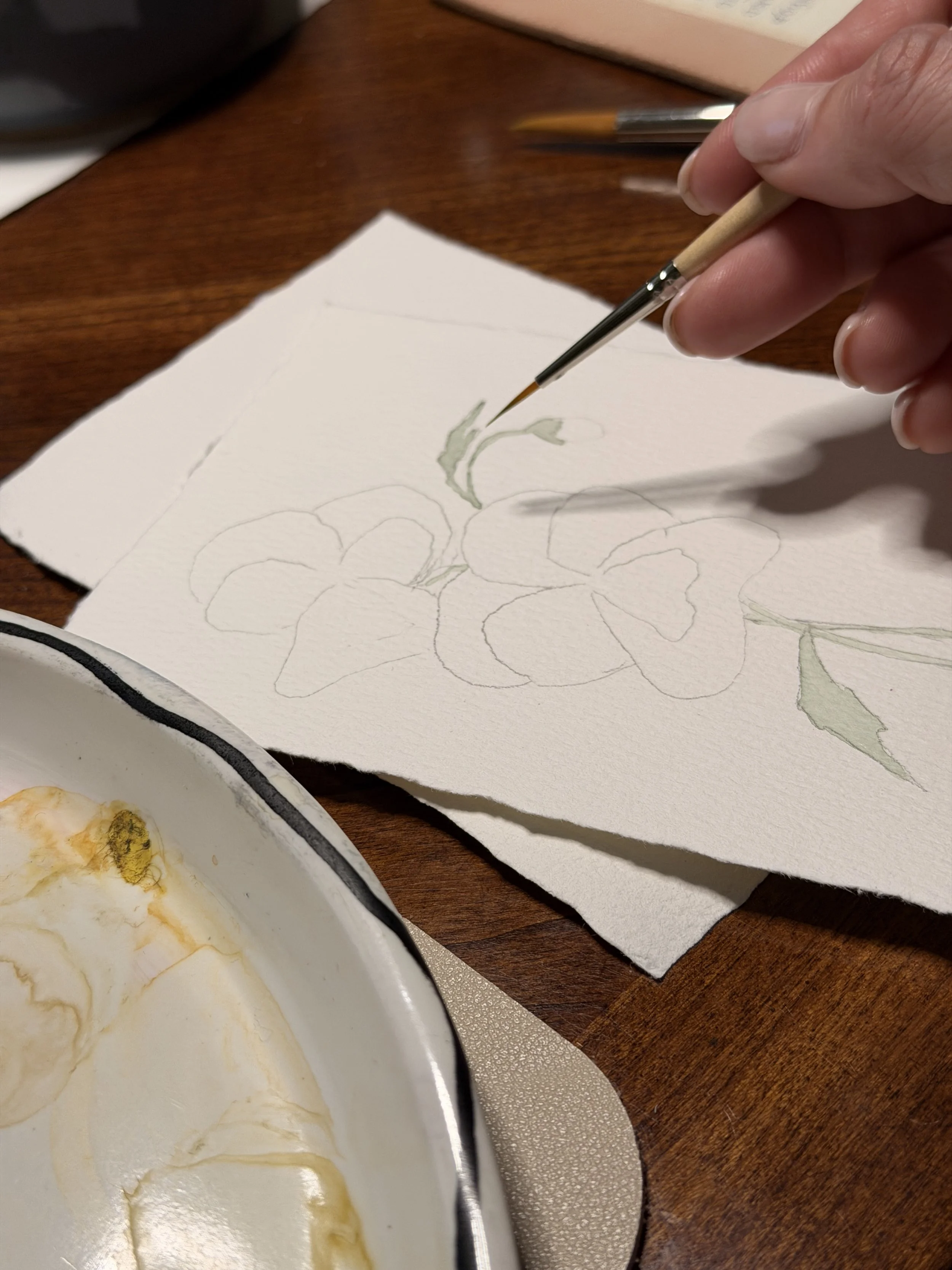 bringing pansies to life