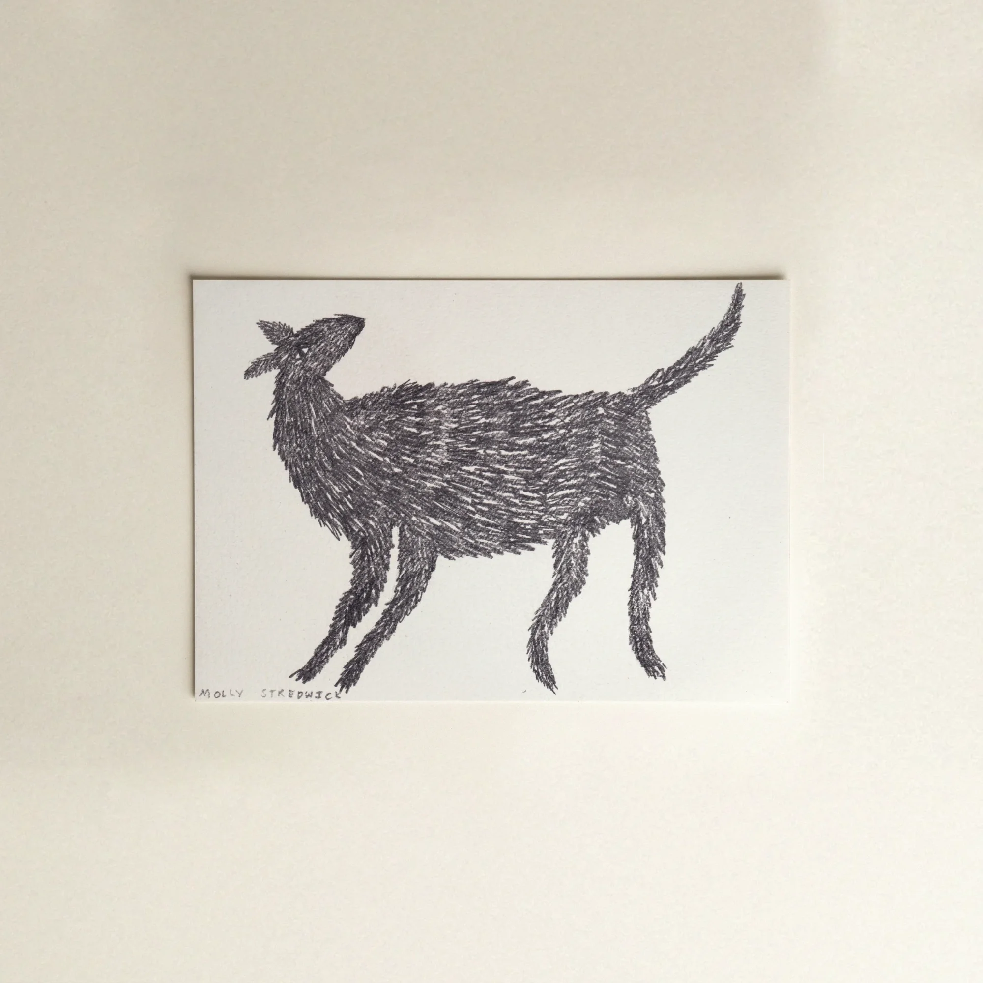 She's Girl, Pencil on Paper, 2024