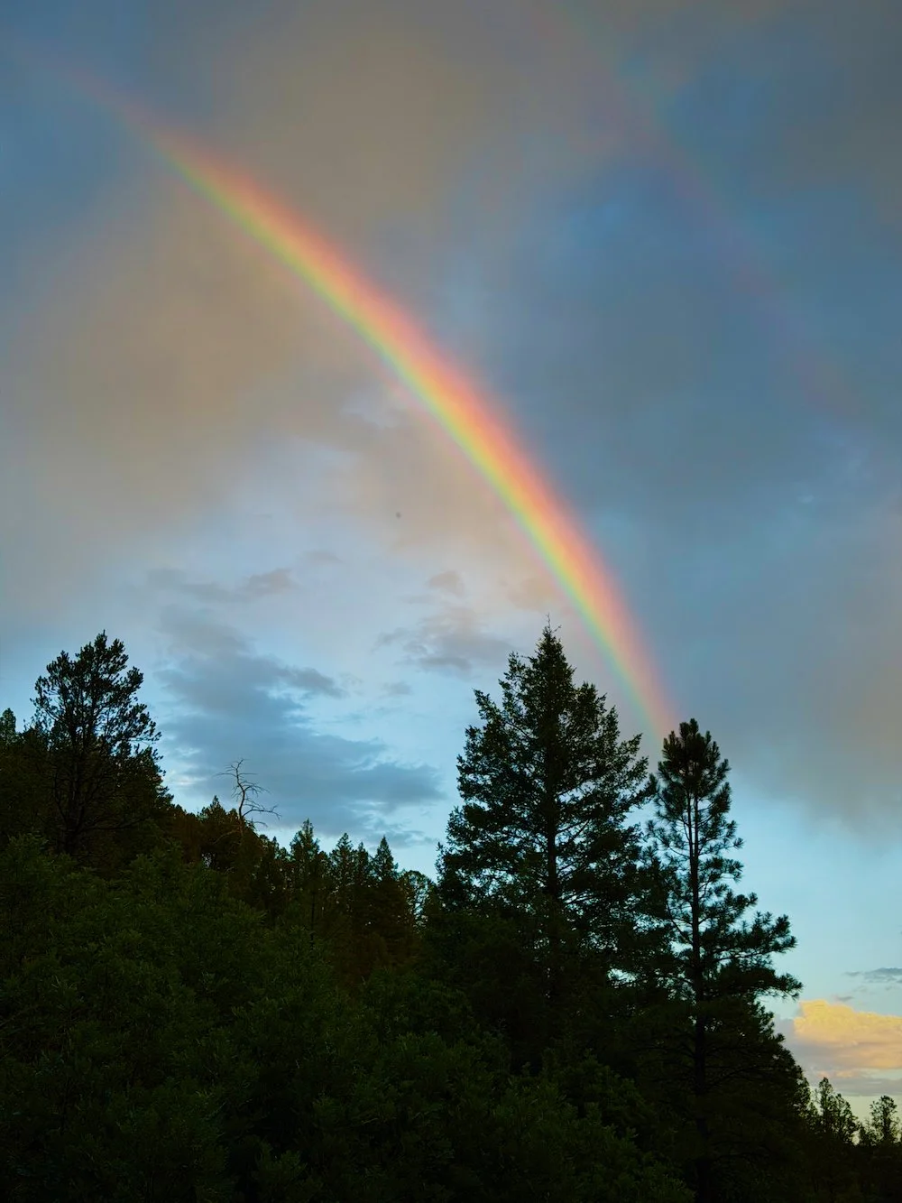 Image of a Rainbow