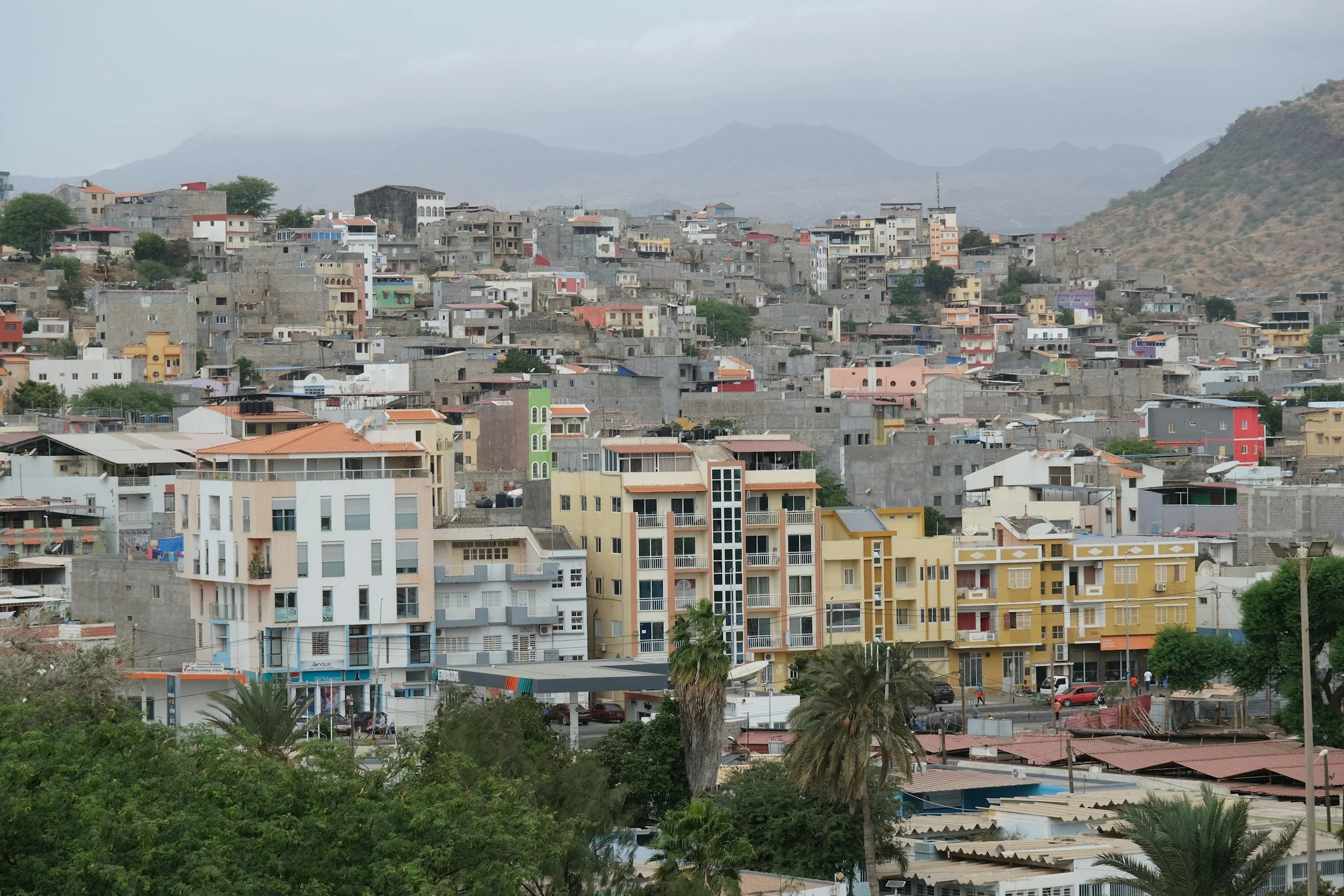 A cityscape featuring a commercial area with palm trees in the foreground, contemporary apartment buildings in various colors, and a densely packed hillside with numerous small houses and mountains in the background.