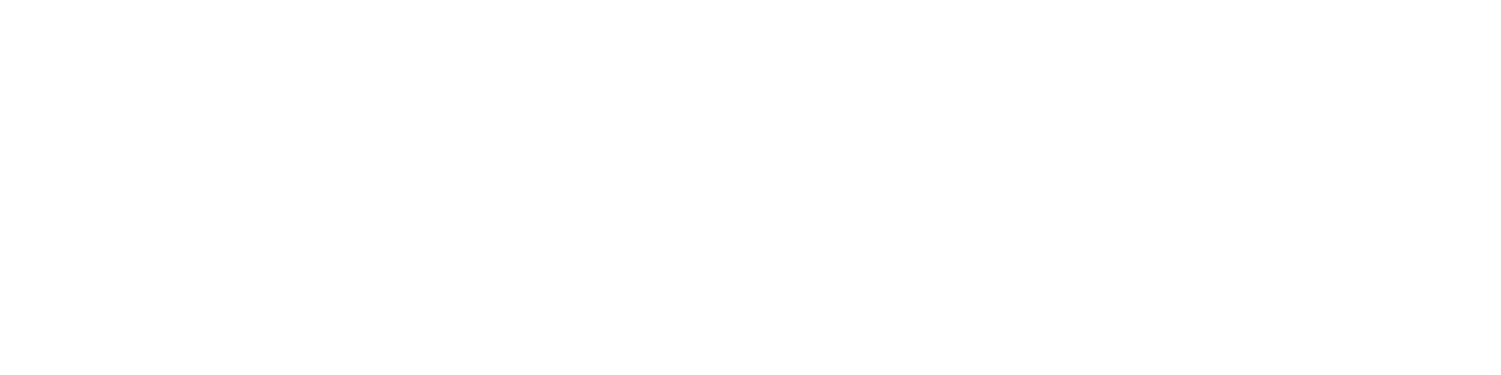 Death Valley Cheer Squad logo